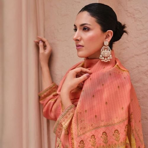 DIGITAL PRINTED UNSTITCHED TISSUE SALWAR SUIT WITH EMBOIDERY AND BORDER WORK
